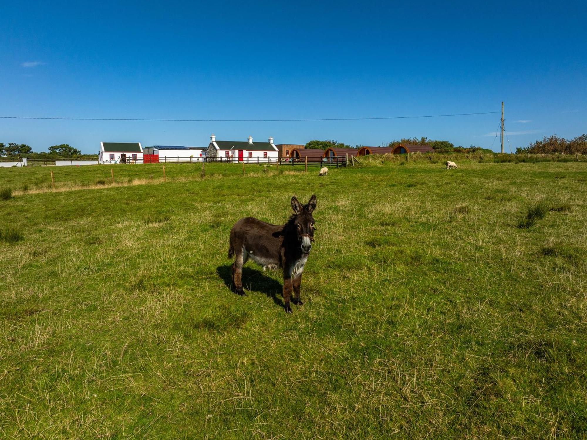 Hotel Geraghtys Farmyard Pods Belmullet Esterno foto